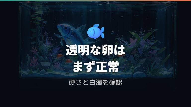 透明な卵だけで有精卵か判断できる?