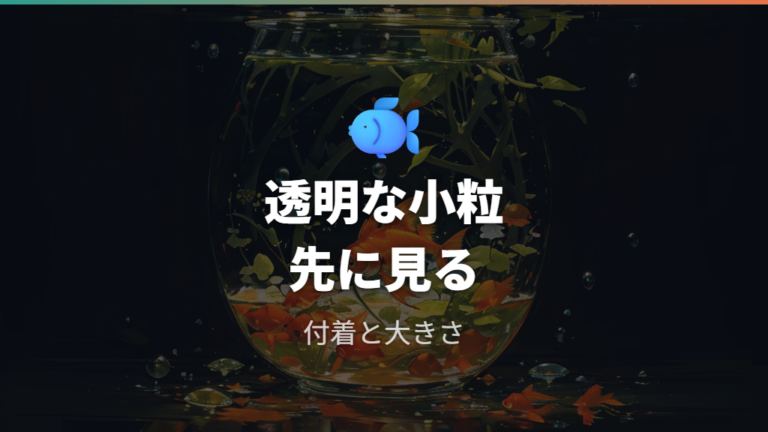 金魚の卵の見た目の特徴は透明な小粒で確認する