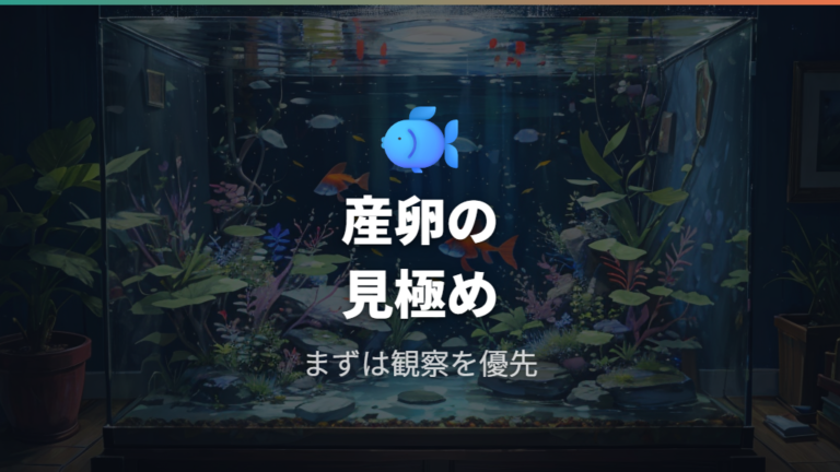 卵を付けたまま泳ぐのは正常かを産卵の流れで見る