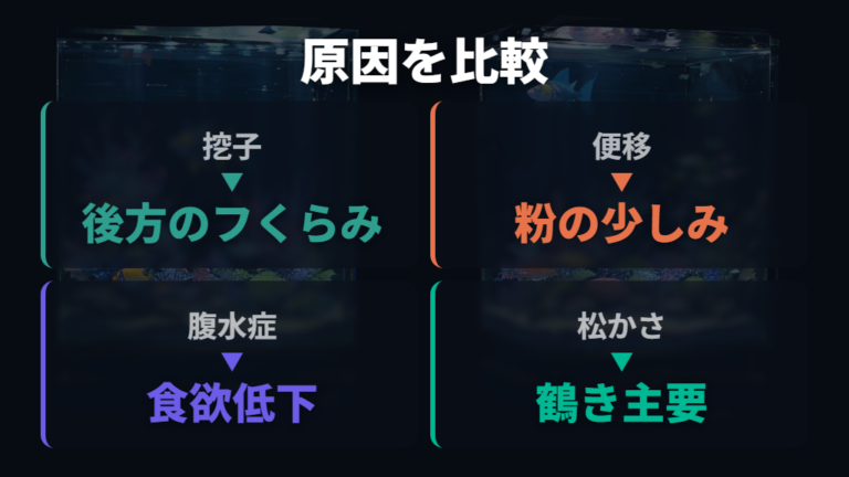 お腹が膨らむ主な原因を症状で比べる