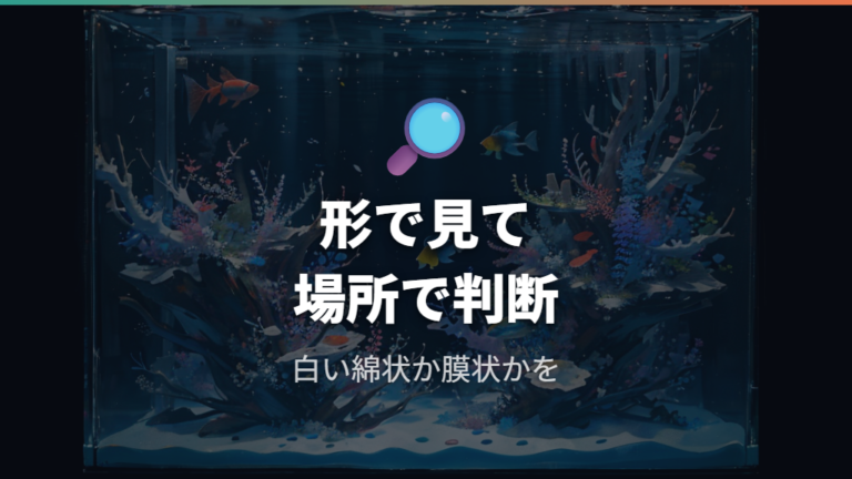 白いカビのような汚れの見分け方は形と場所を見る