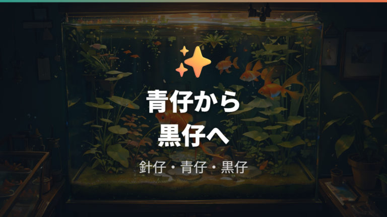 生後1ヶ月の大きさの目安は青仔の終わりから黒仔の入り口も合わせて見る