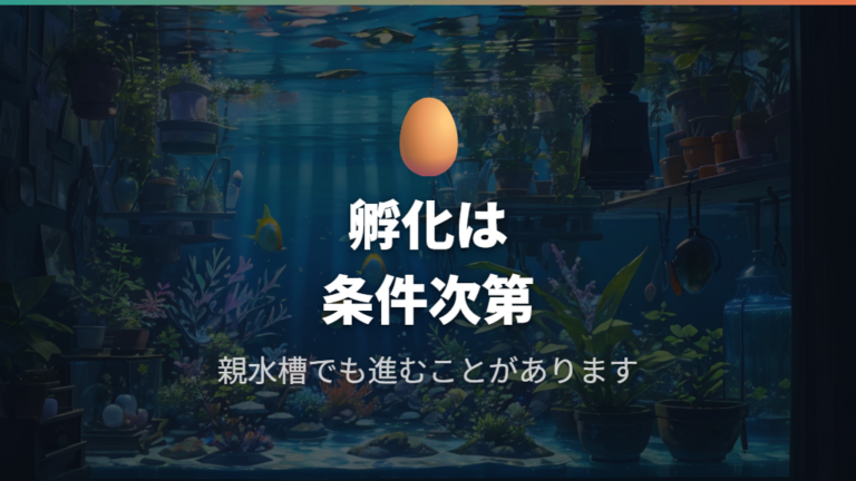 親水槽で卵は孵化するのかをまず整理する