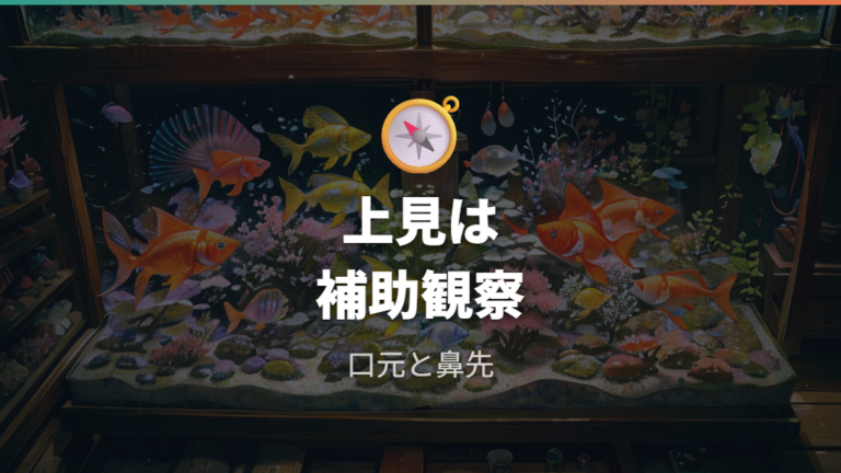上から見るオスメスの違いは体型と卵の有無を補助にする