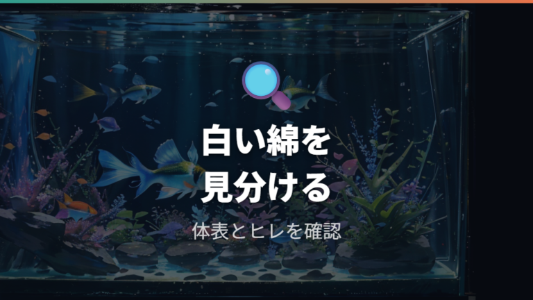 白い綿の症状と見分け方を観察する
