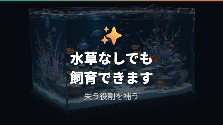 メダカ水草なしでも飼える理由と失う役割
