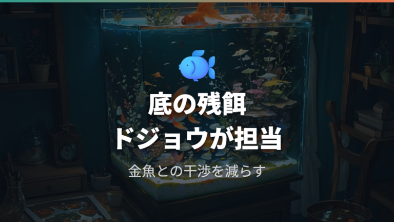 金魚と混泳できる掃除魚は条件が合えばドジョウ類を考えやすい