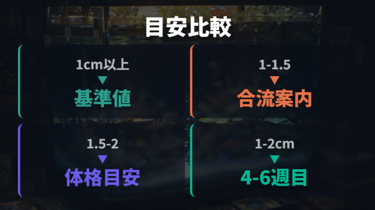 移す目安は体長何センチかを複数基準で見る