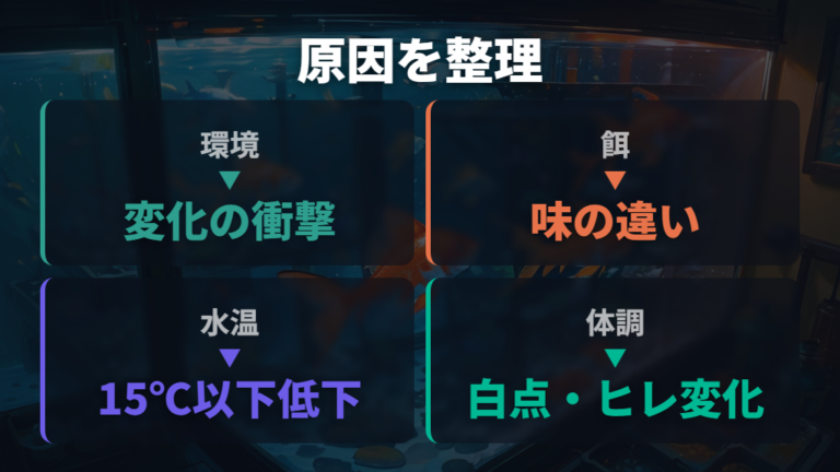 エサを食べない主な原因を最初に整理する