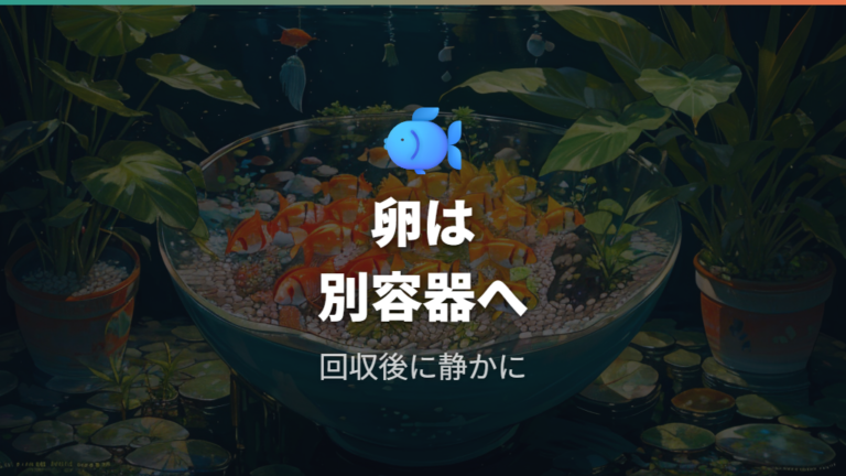卵がある水槽の水換え可否は別容器管理で考える
