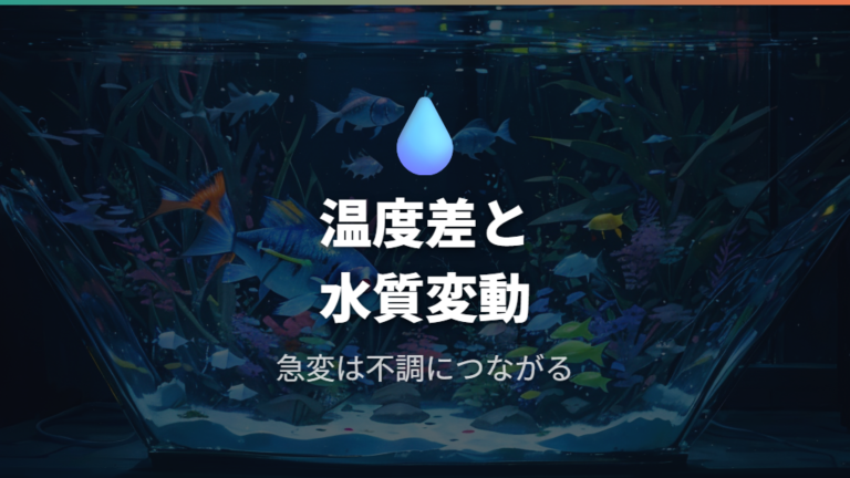 水換えしすぎの悪影響は水質と水温の急変から起こる