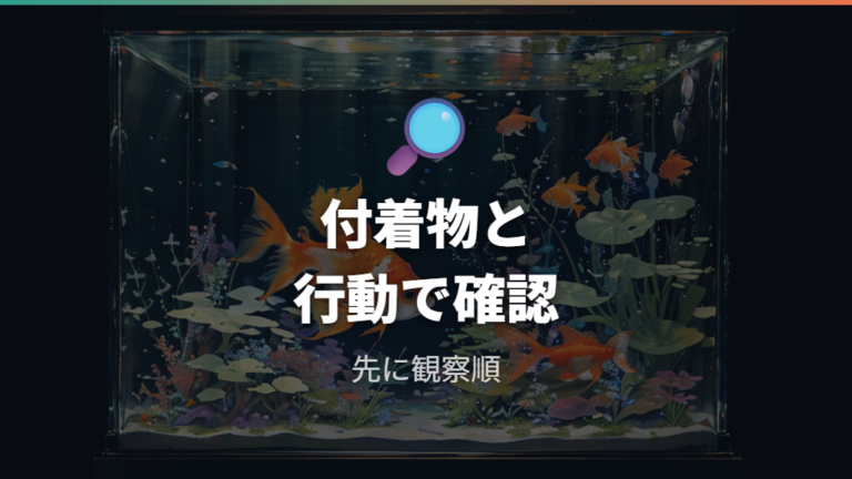 病気と退色の見分け方は白い付着物と行動を見る