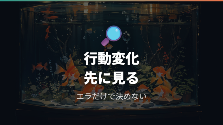 エラ病で見られる症状を行動から確認する