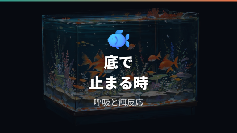 底で動かない主な原因を最初に整理する