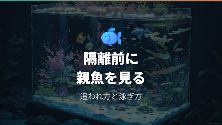 卵付きメダカを隔離してよいかは親魚の負担で判断する