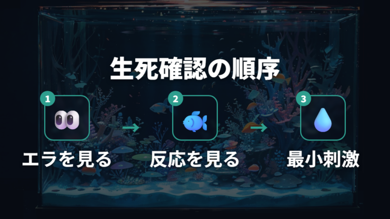 生きているメダカの確認ポイントはエラと反応を見る
