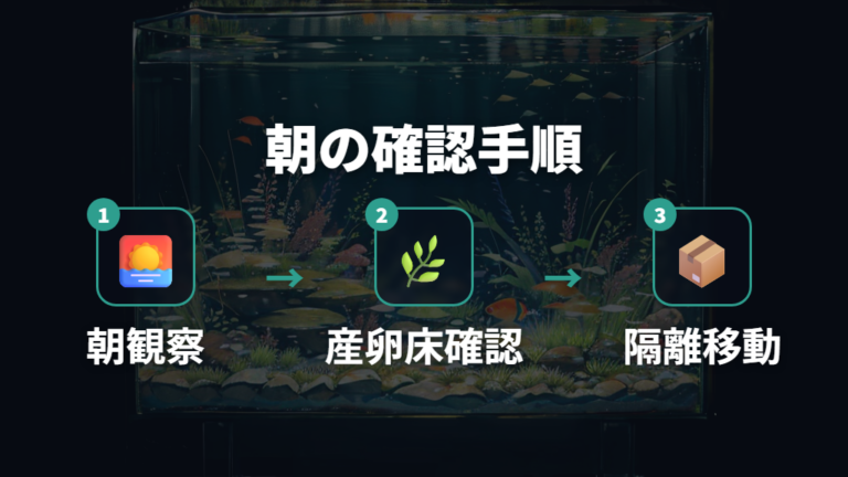 卵を親から隔離するタイミングは朝の観察で決める