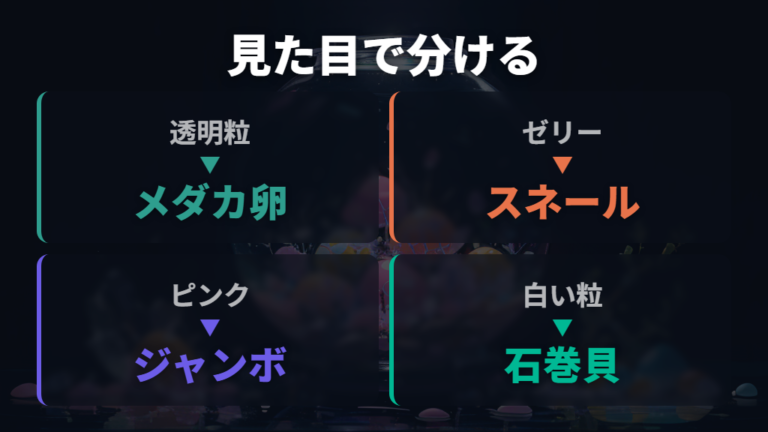 透明粒・ゼリー・ピンク卵で見分ける