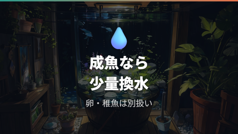 水道水をそのまま使える条件は成魚の少量換水に限って考える