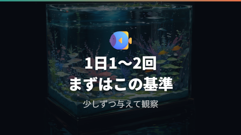 1日のエサ回数と適量の目安をまず押さえる