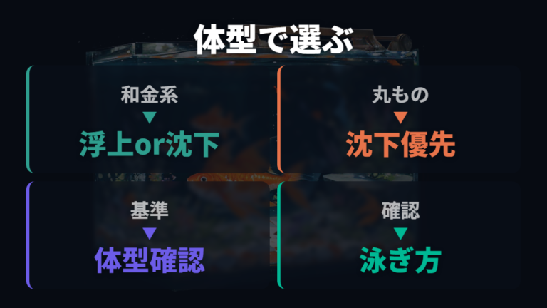 金魚の種類別に合うエサは体型で見分ける