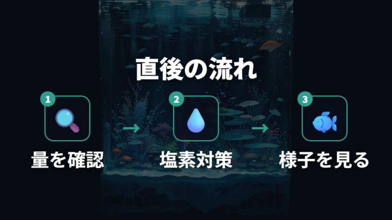 水道水を入れた直後の対処法はまず塩素を止める