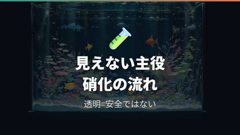 バクテリアが必要な理由は有害物質の分解にある