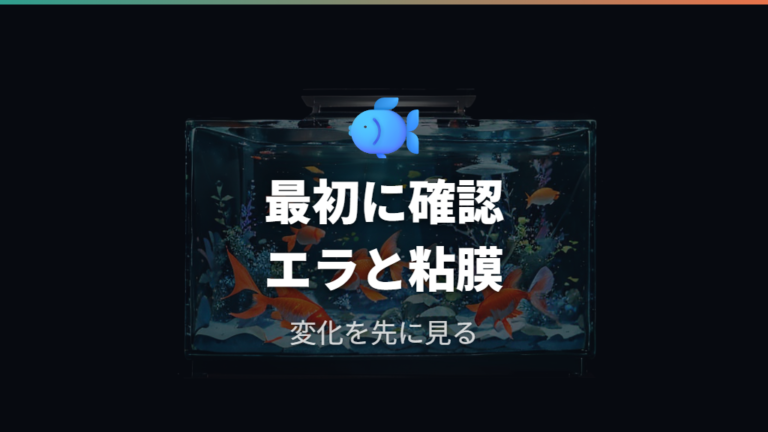 カルキが金魚に与える影響はエラと粘膜に出やすい