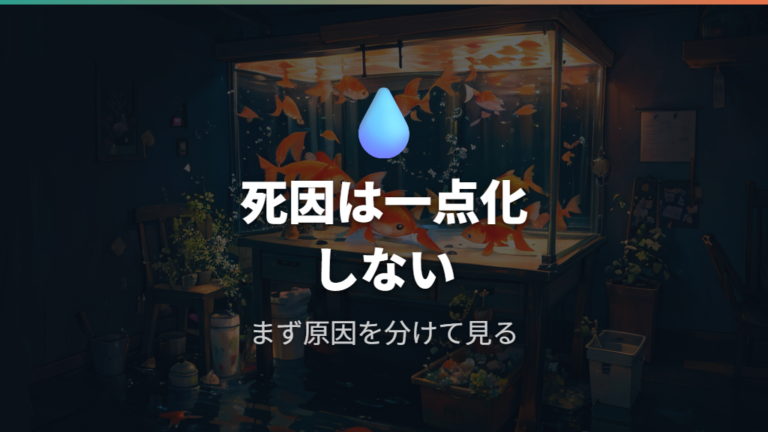 水換え後に死ぬ主な原因を最初に整理する