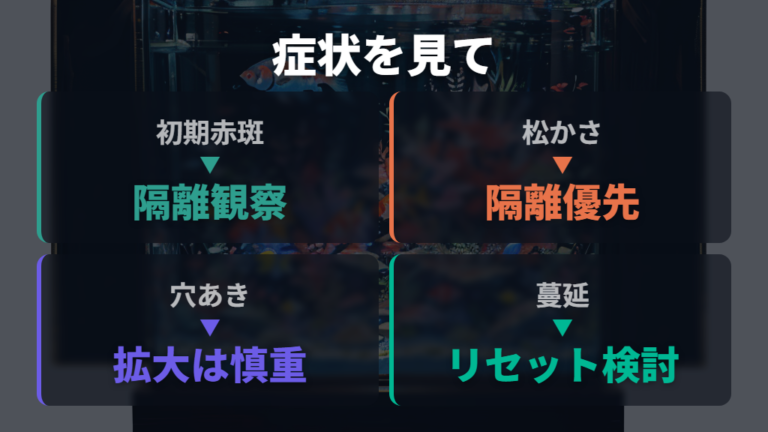 水槽リセットが必要な症状の見極め