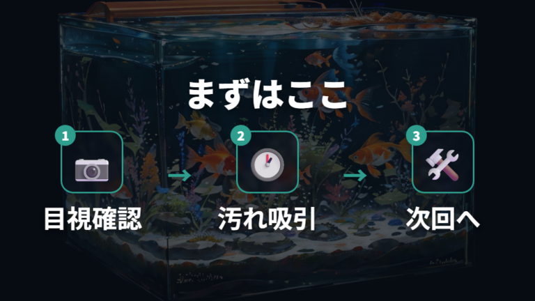 底砂にたまる汚れの掃除方法はフンと残餌を優先する