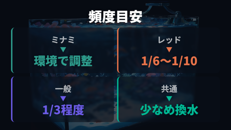 掃除頻度と水換え量の目安は水槽環境で変える