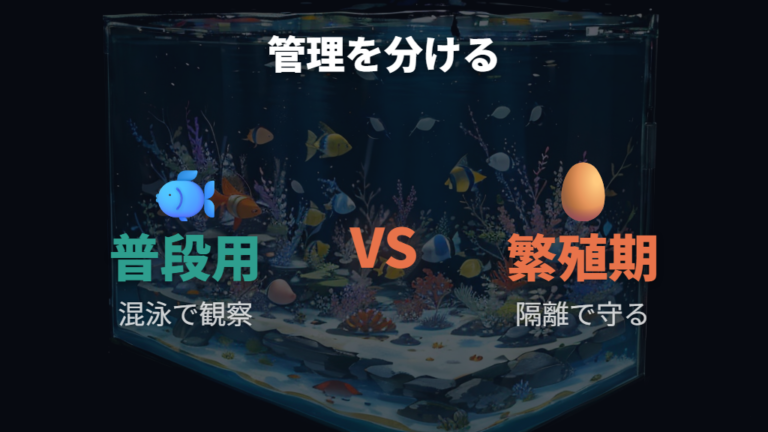 卵がある水槽で混泳できるかは成体と繁殖で分ける