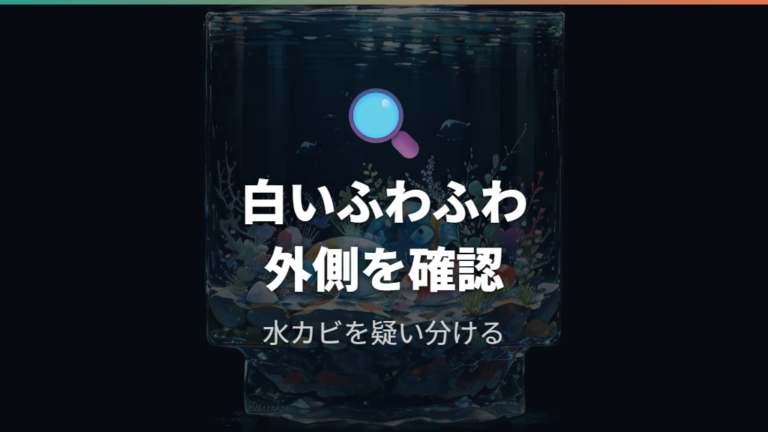 白いふわふわ卵の正体は水カビか見極める