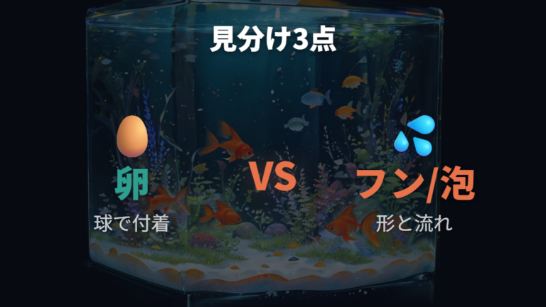 卵とフンや気泡の見分け方は形と付着の仕方で判断する