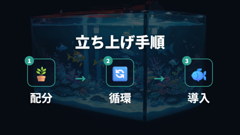 半永久水槽の作り方を立ち上げ手順で整理する