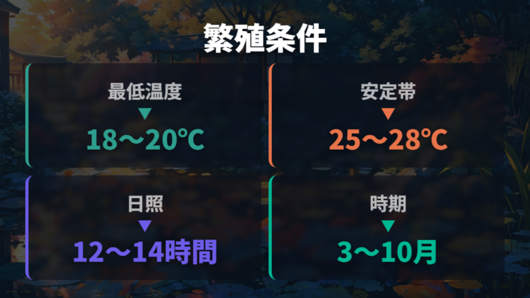 繁殖しやすい時期と条件は水温と日照を軸に見る