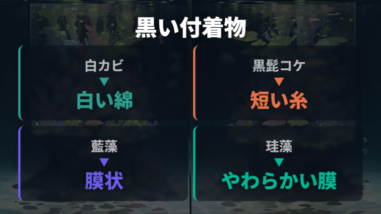 黒カビとコケの画像での違いは色だけで決めない