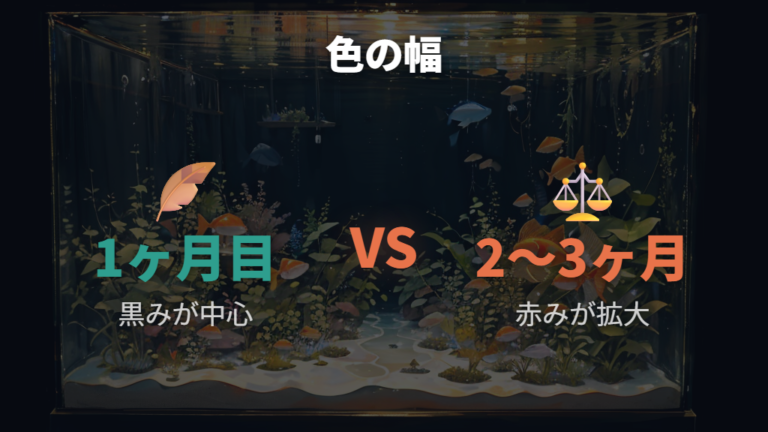 色が変わり始める時期は個体差を見て判断する