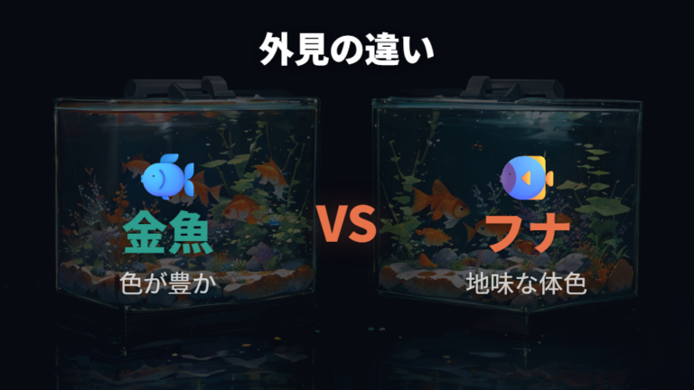 金魚とフナの生物学的な関係を比べる