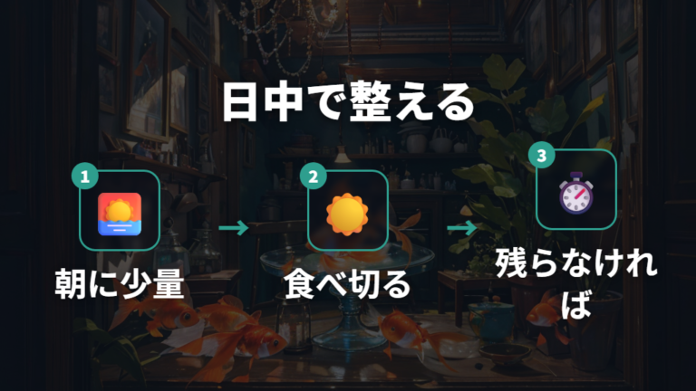 餌をあげる回数と時間帯は日中に整える