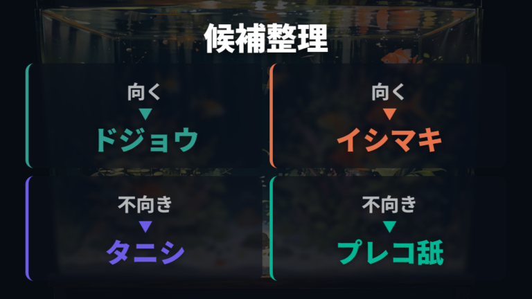 コケ取り役に向く混泳魚と向かない魚を比べる