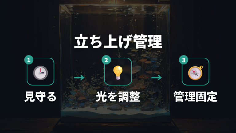 立ち上げ初期に出やすい理由は水槽の変化にある