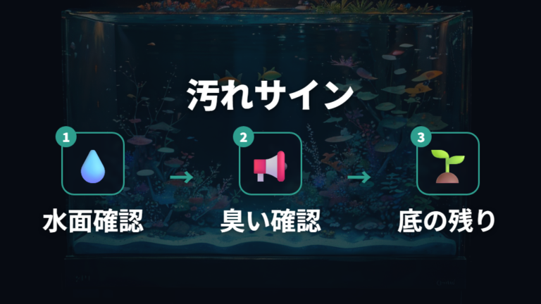 針子の時期に水換えしてよいかは汚れのサインで判断する