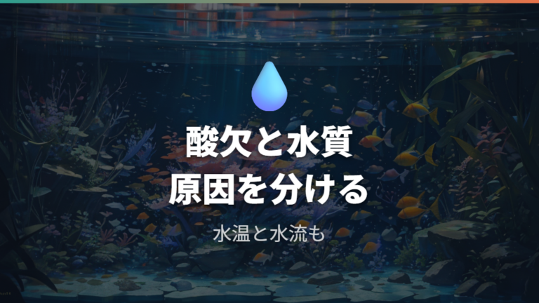 酸欠や水質悪化のリスクは本当に起きる?