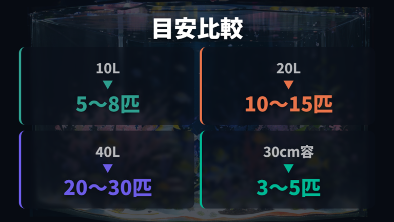水槽サイズと飼育数の目安を比較する