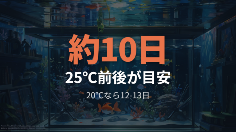 孵化までの日数と水温の目安を確認する