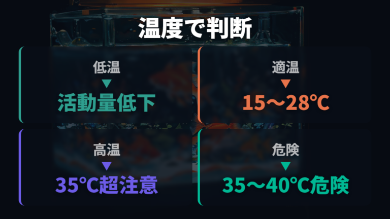 水温低下で食欲が落ちる理由は代謝の変化にある