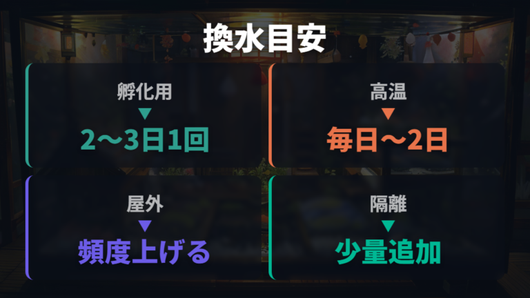 卵を守る水換えの頻度と量は環境で変わる