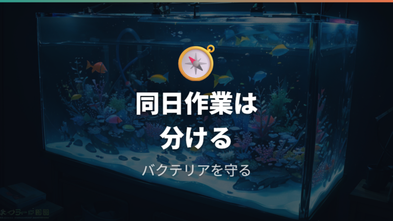 バクテリアへの影響は水換え量だけでなく掃除の重ね方にも注意する